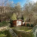 Nettuno- Bluchalet زواليي
